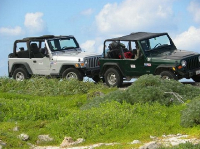 Visita guiada de jeep